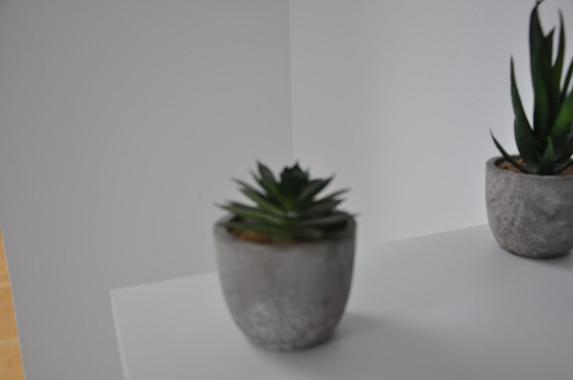Ferienwohnung "Julka" Kostenloses W-Lan กีเบลชตัดท์ ภายนอก รูปภาพ